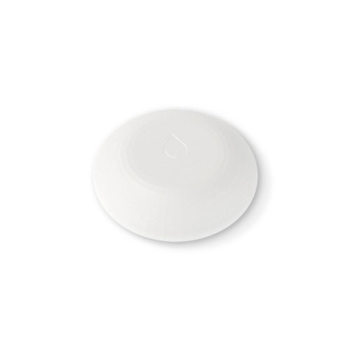 Shelly flood Shelly flood