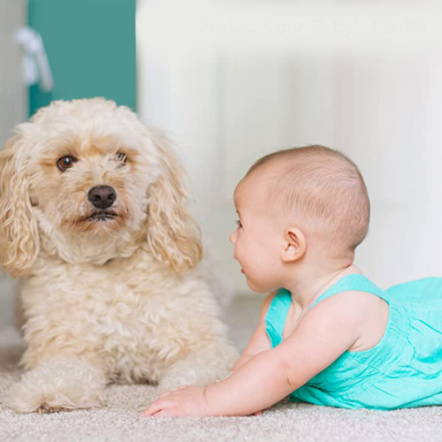 Temperatūros ir drėgmės jutiklis Feelspot FS-TH03W WiFi, Tuya