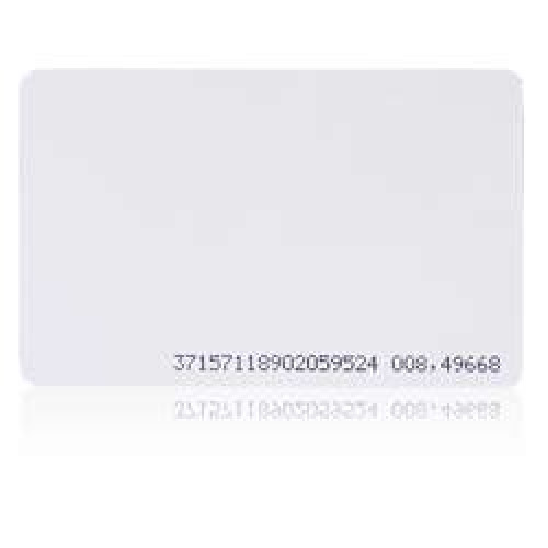 Atstuminė kortelė UHF + EM 125kHz RFID