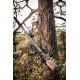 Nocpix termovizorinis taikiklis BOLT P25R