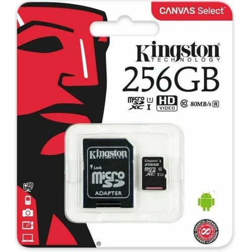 Atminties kortelė 256GB microSDHC