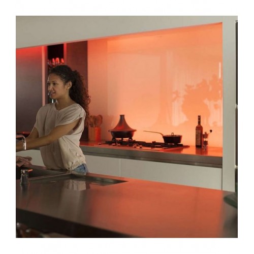 Philips Hue Personal Strip Led 20,5W